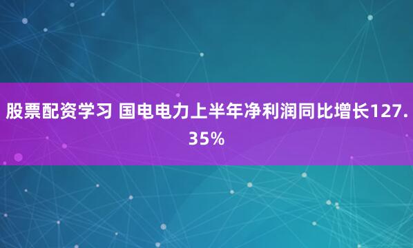 股票配资学习 国电电力上半年净利润同比增长127.35%