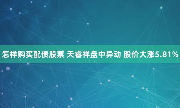 怎样购买配债股票 天睿祥盘中异动 股价大涨5.81%