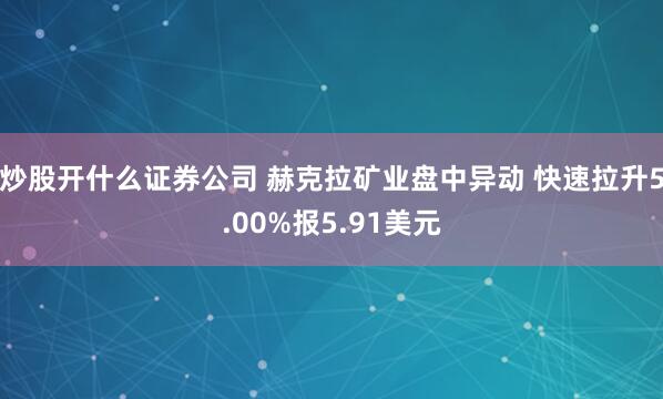 炒股开什么证券公司 赫克拉矿业盘中异动 快速拉升5.00%报5.91美元