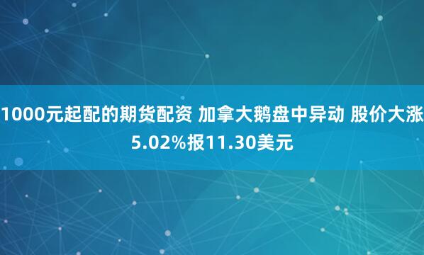 1000元起配的期货配资 加拿大鹅盘中异动 股价大涨5.02%报11.30美元