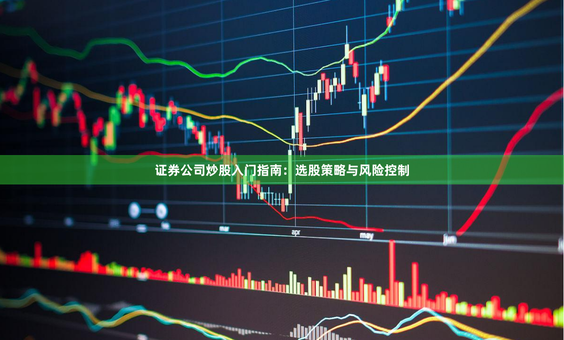 证券公司炒股入门指南：选股策略与风险控制