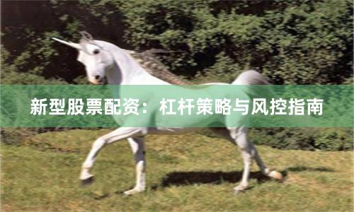 新型股票配资：杠杆策略与风控指南